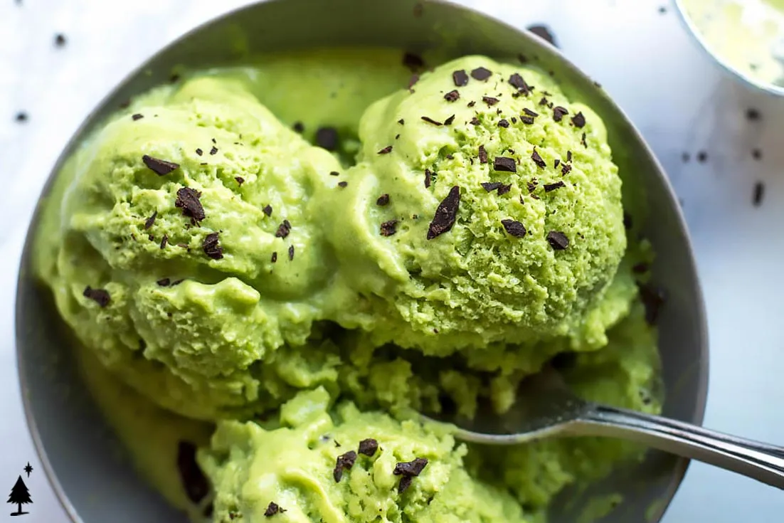 avogelatoicecream